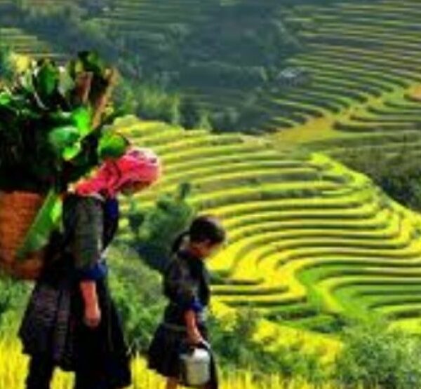 7Days Vietnam Explore Tour