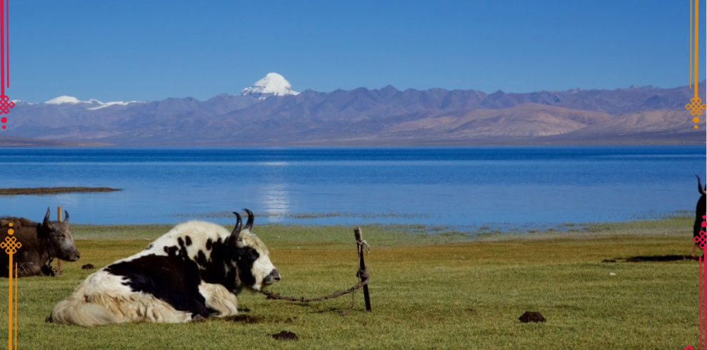 Mount Kailash Mansarovar Yatra | Sacred Nepal and Tibet Pilgrimage Tour