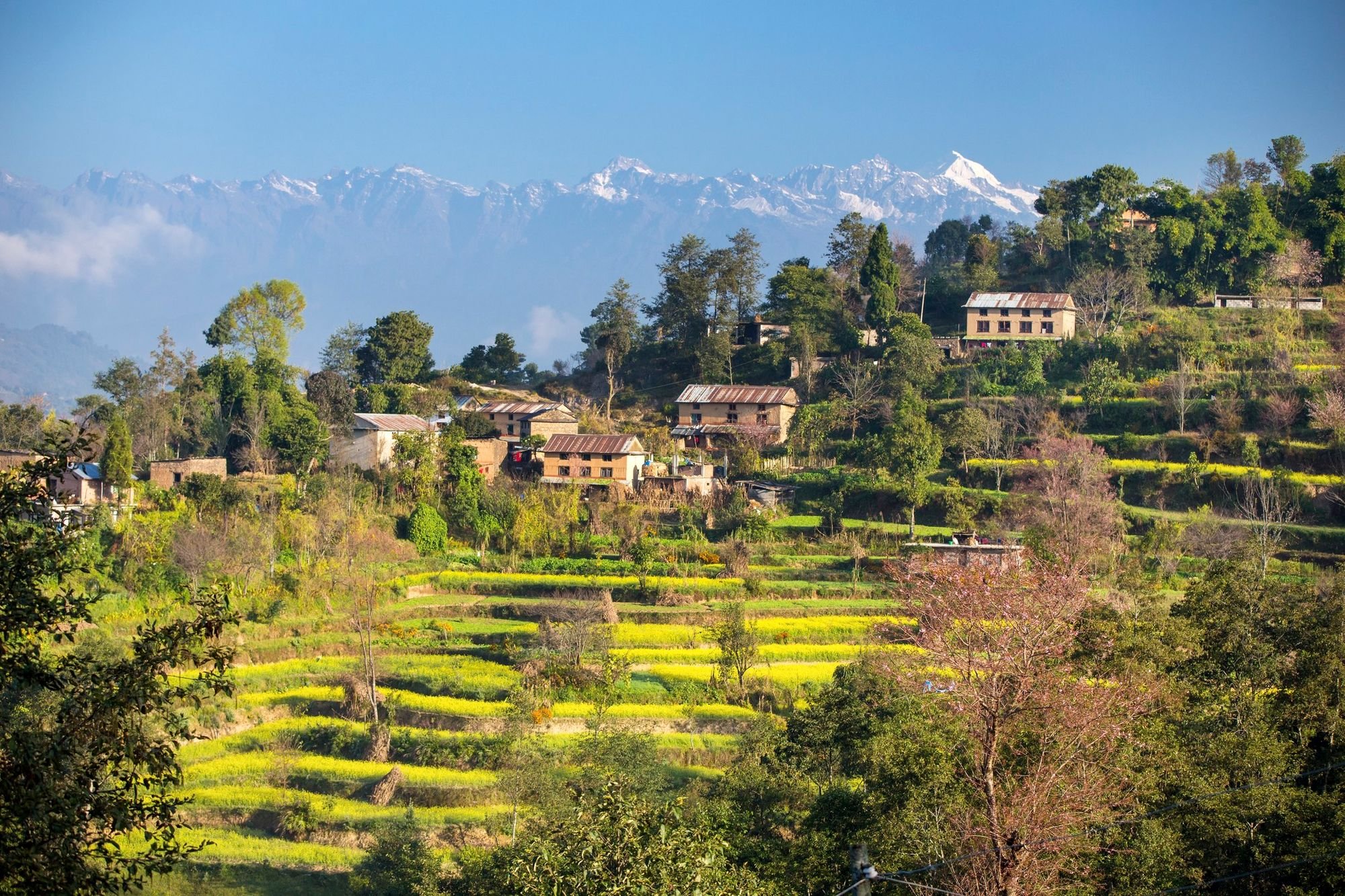 Scenic Nepal tour