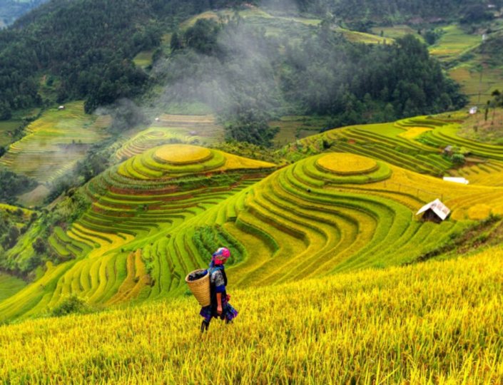 8-Day Off-the-Beaten-Path North Vietnam Tour from Singapore