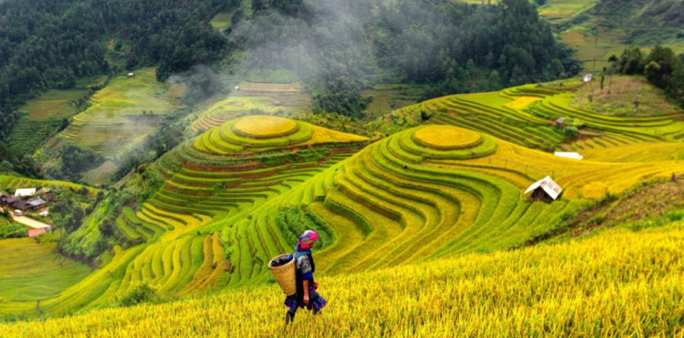 8-Day Off-the-Beaten-Path North Vietnam Tour from Singapore