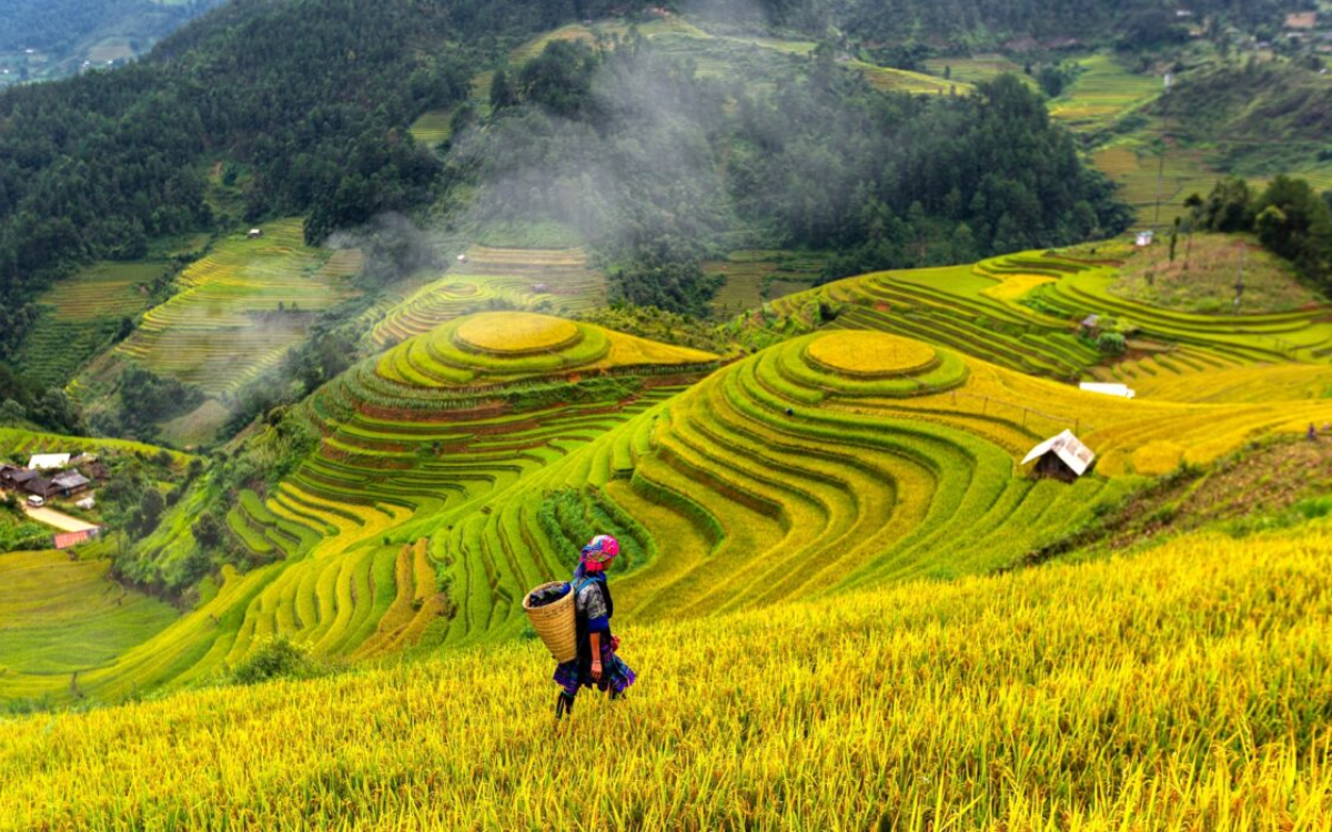 8-Day Off-the-Beaten-Path North Vietnam Tour from Singapore