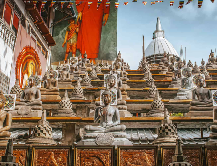 5 Days Best of Sri Lanka Tour Package – Culture, Wildlife, Heritage & Beach Escape