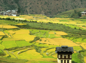 10Days Best of Bhutan Tour