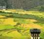 10Days Best of Bhutan Tour