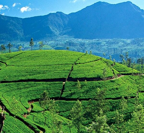 Sri Lanka