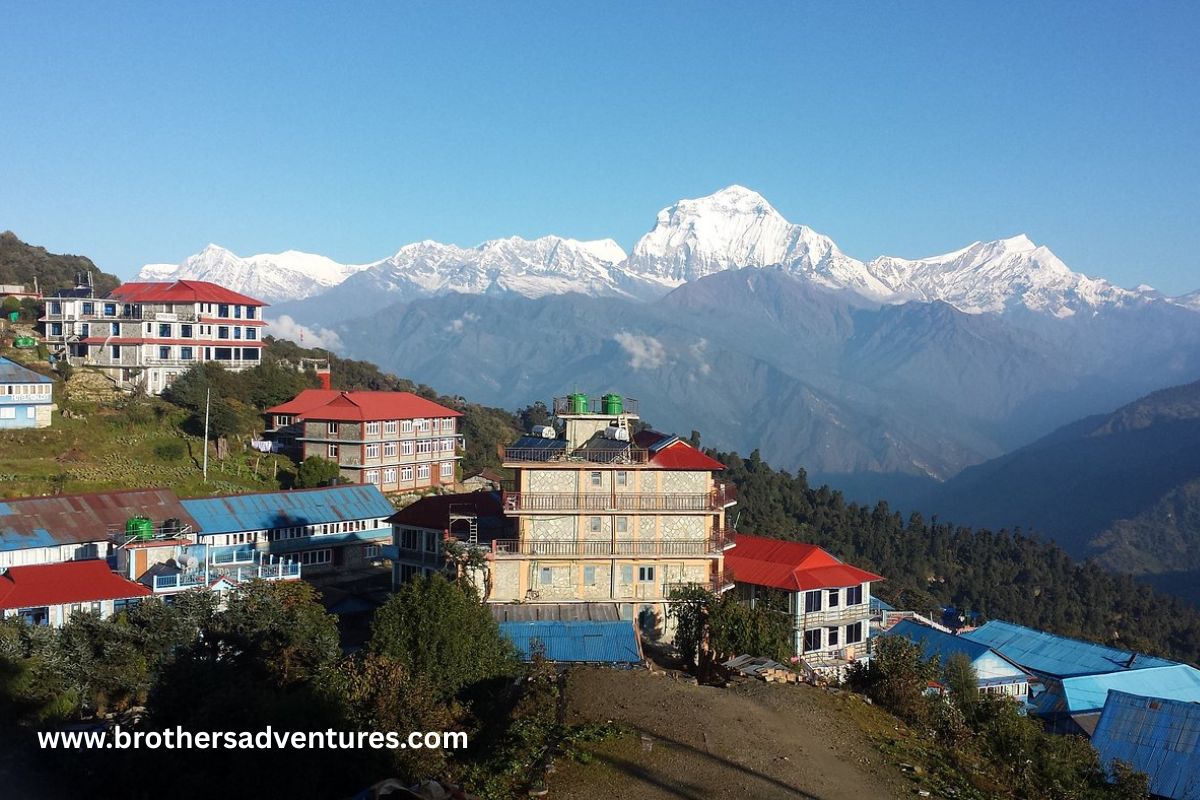 10 Days Ghorepani Trek in Nepal – Himalayan Adventure & Cultural Experience