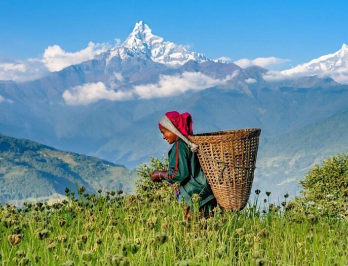 8Days Pokhara Valley Rim trek