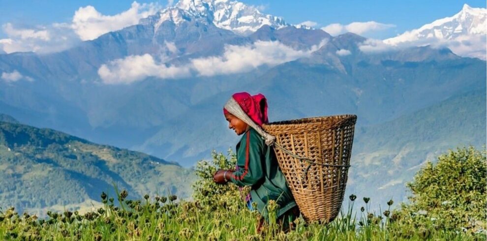 8Days Pokhara Valley Rim trek