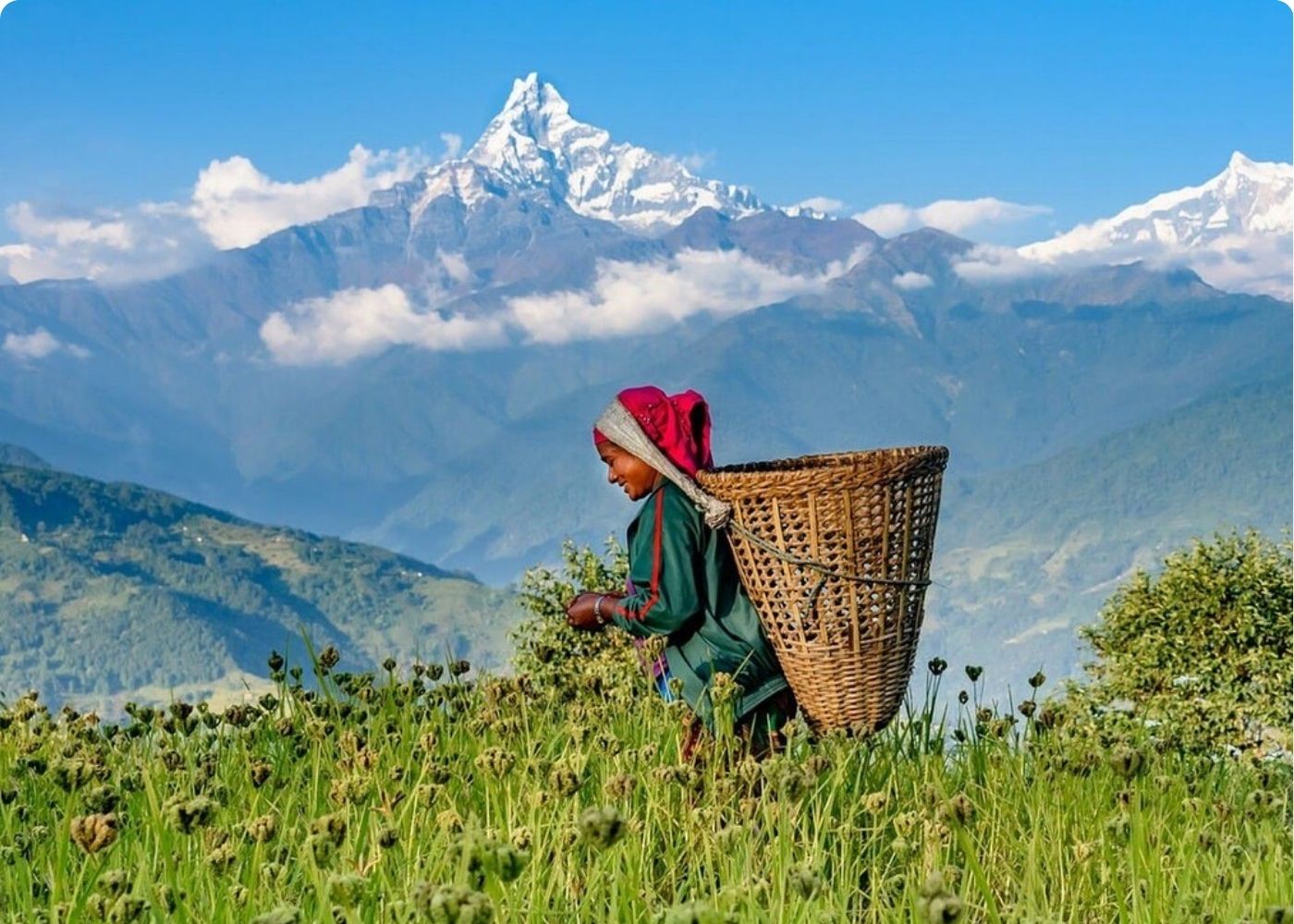 8Days Pokhara Valley Rim trek