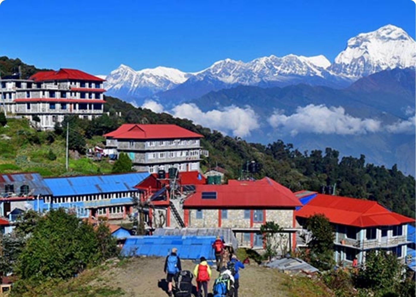 12 Days Ghorepani Poon Hill Trek with Chitwan Jungle Safari one of the best Nepal tour packages