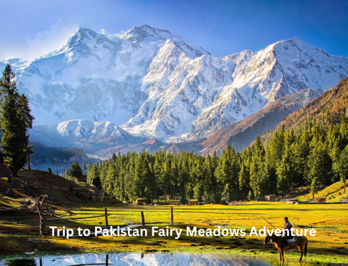 Best of Pakistan Fairy Meadows Adventure – Discover Nanga Parbat & the Hidden Beauty of Northern Pakistan