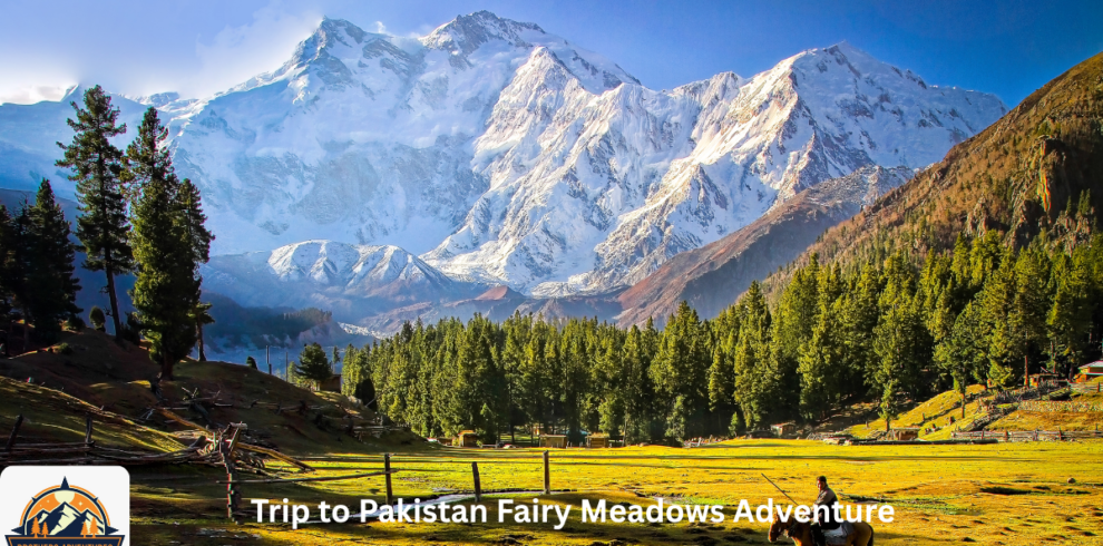 Best of Pakistan Fairy Meadows Adventure – Discover Nanga Parbat & the Hidden Beauty of Northern Pakistan