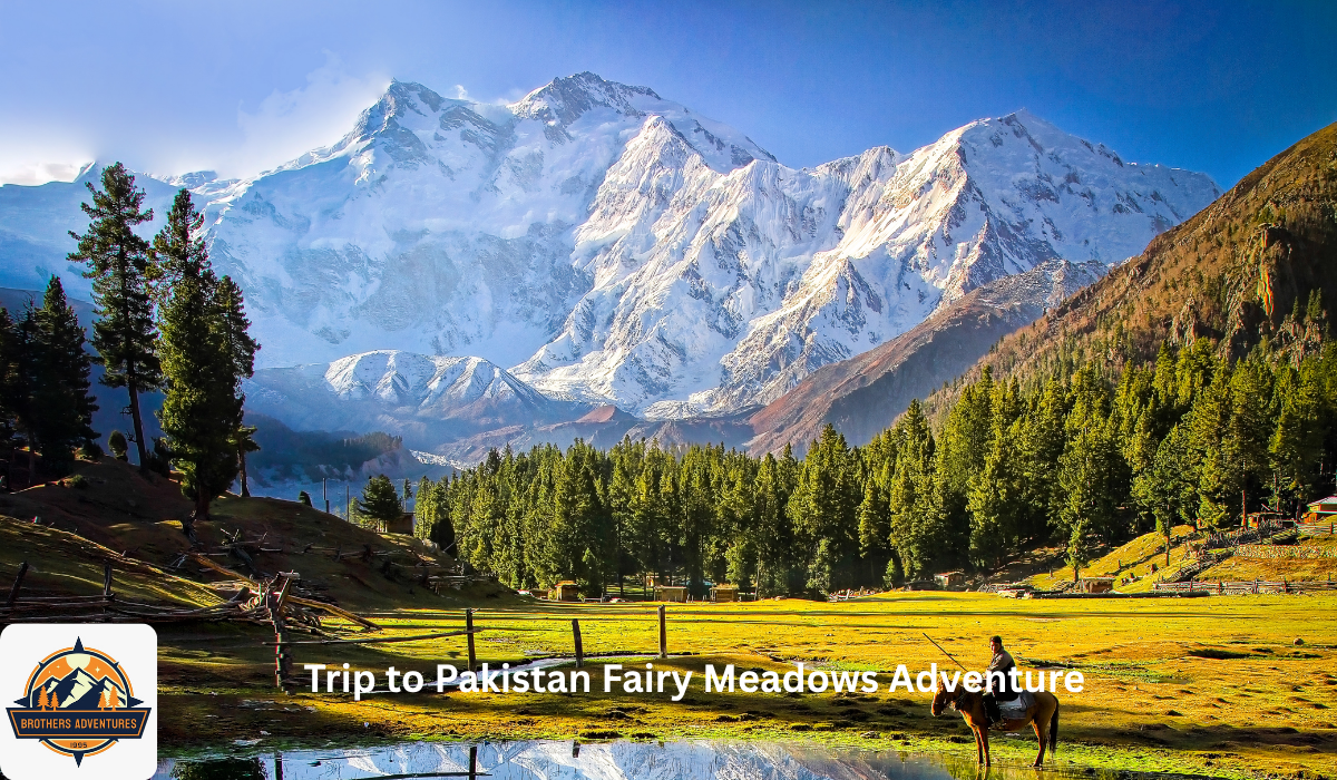 Best of Pakistan Fairy Meadows Adventure – Discover Nanga Parbat & the Hidden Beauty of Northern Pakistan